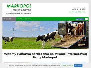 Podgląd markopolkorzycki.pl