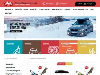 Podgląd aktywnywypoczynek.com.pl