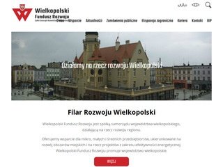 Podgląd wfr.org.pl