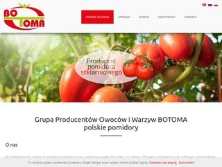 Podgląd botoma.com.pl