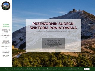 Podgląd wiktoriaponiatowska.pl