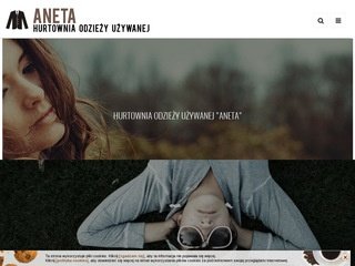 Podgląd aneta.com.pl