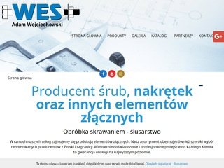 Podgląd wes.net.pl