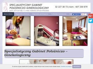 Podgląd ulmanwlodarz.pl