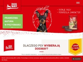 Podgląd https://dogway.pl