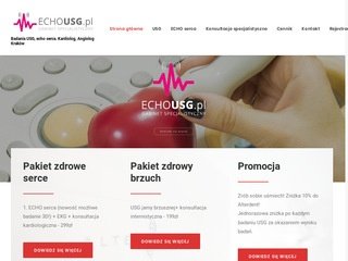 Podgląd echousg.pl