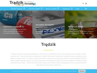 Podgląd https://tradzik.edu.pl