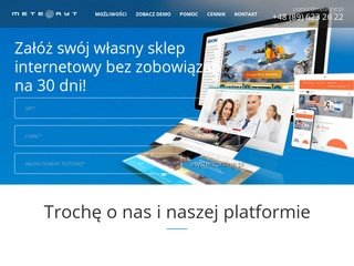 Podgląd https://asystentonline.pl