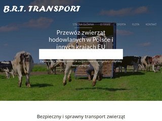 Podgląd brt-transport.pl