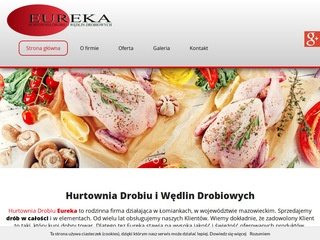 Podgląd hurtowniaeureka.pl