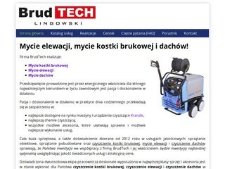 Podgląd brudtech.pl