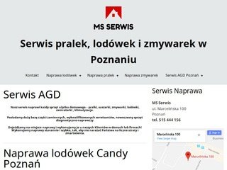 Podgląd naprawalodowekpoznan.pl