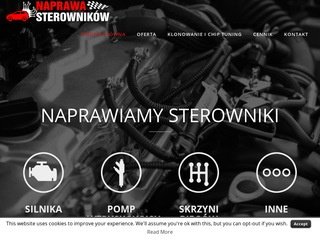 Podgląd naprawasterownikow.pl