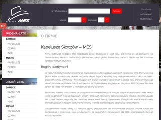 Podgląd kapelusze.mes.biz.pl