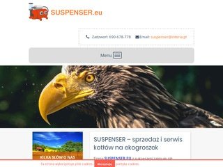 Podgląd suspenser.eu