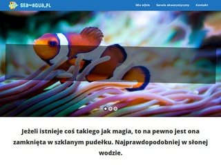 Podgląd https://www.sea-aqua.pl