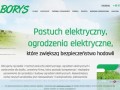 Podgląd pastuchyborys.pl