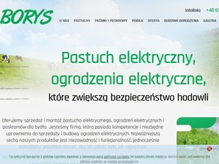 Podgląd pastuchyborys.pl