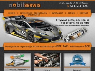 Miniaturka dpf.radom.pl