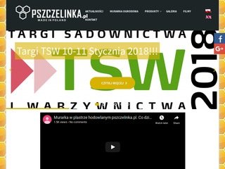 Podgląd pszczelinka.pl