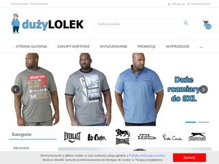 Podgląd https://duzylolek.pl