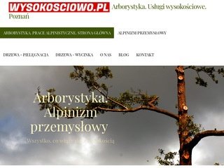 Podgląd wysokosciowo.pl