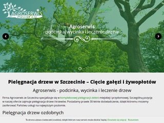 Podgląd agroserwis.pro