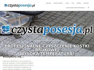 Podgląd https://czystaposesja.pl