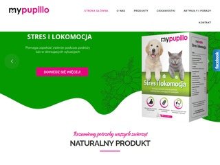 Podgląd https://www.mypupillo.pl