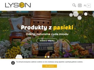 Podgląd https://pasiekalyson.pl