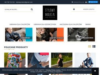 Podgląd https://www.stylowymalec.pl