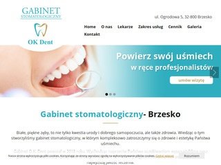 Podgląd ok-dent.pl