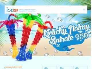 Podgląd https://icecup.pl