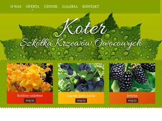 Podgląd https://koter.com.pl