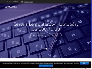 Podgląd https://naprawimy.net.pl