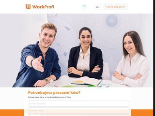 Podgląd workprofi.pl