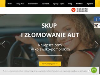 Podgląd auto-skup24.com