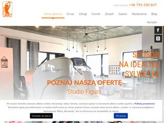 Podgląd studiofigura-wroclawkrzyki.pl