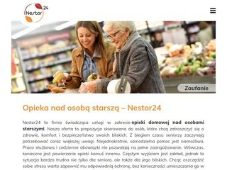 Podgląd nestor24.com