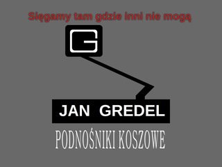 Podgląd podnosnikikoszowe.com.pl