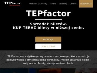 Podgląd tepfactor.pl