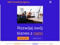 Podgląd https://wiz-consulting.pl