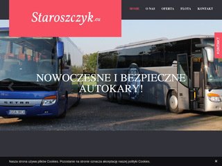 Podgląd staroszczyk.eu