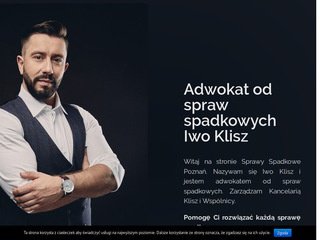 Podgląd prawo-spadkowe-poznan.pl