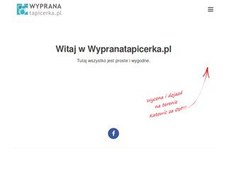 Podgląd https://wypranatapicerka.pl