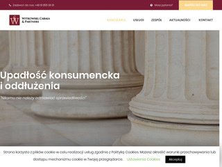 Podgląd witkowski-partnerzy.pl