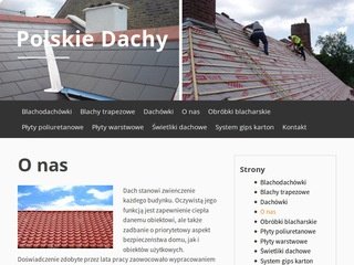 Podgląd polskie-dachy.pl