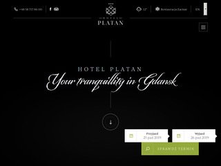 Podgląd hotelplatan.gda.pl