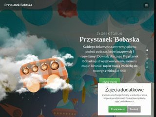 Podgląd https://www.przystanekbobaska.pl