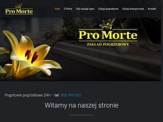 Podgląd promorte.pl